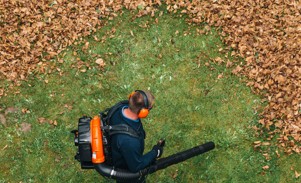 Yard and leaf cleanup at a managed property