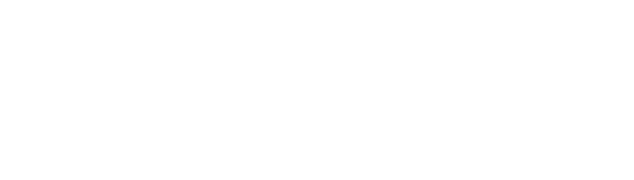 C. Wise Enterprise Corp.