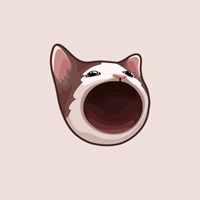 Popcat POPCAT token logo, an illustrated cat with an open mouth