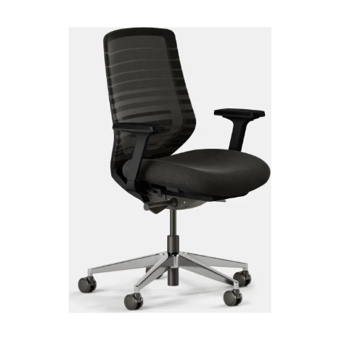 Branch Ergonomic Chair