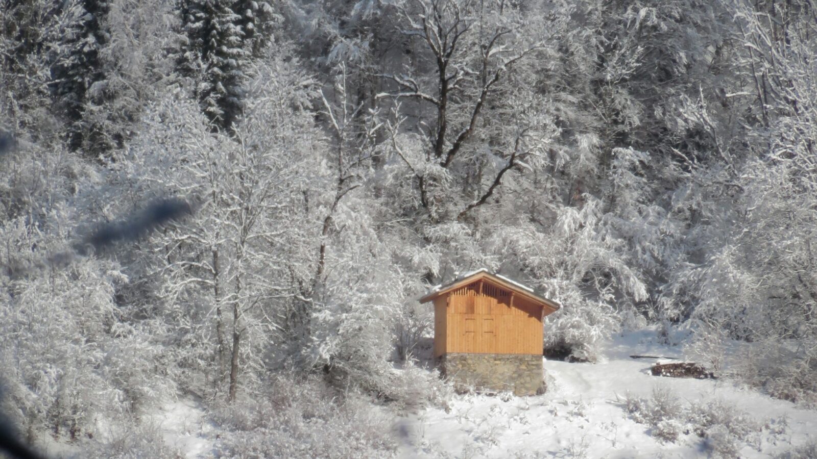 A small timber cabin standing alone in deep snow inside a northern forest, far from any settlement.