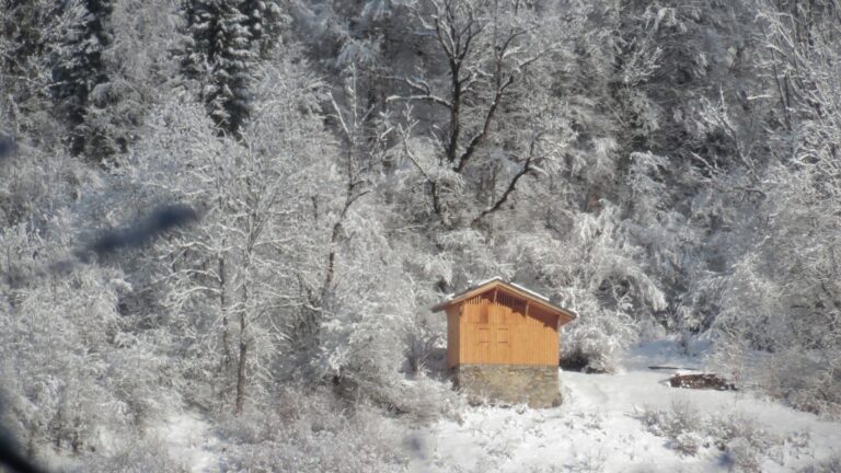 A small timber cabin standing alone in deep snow inside a northern forest, far from any settlement.