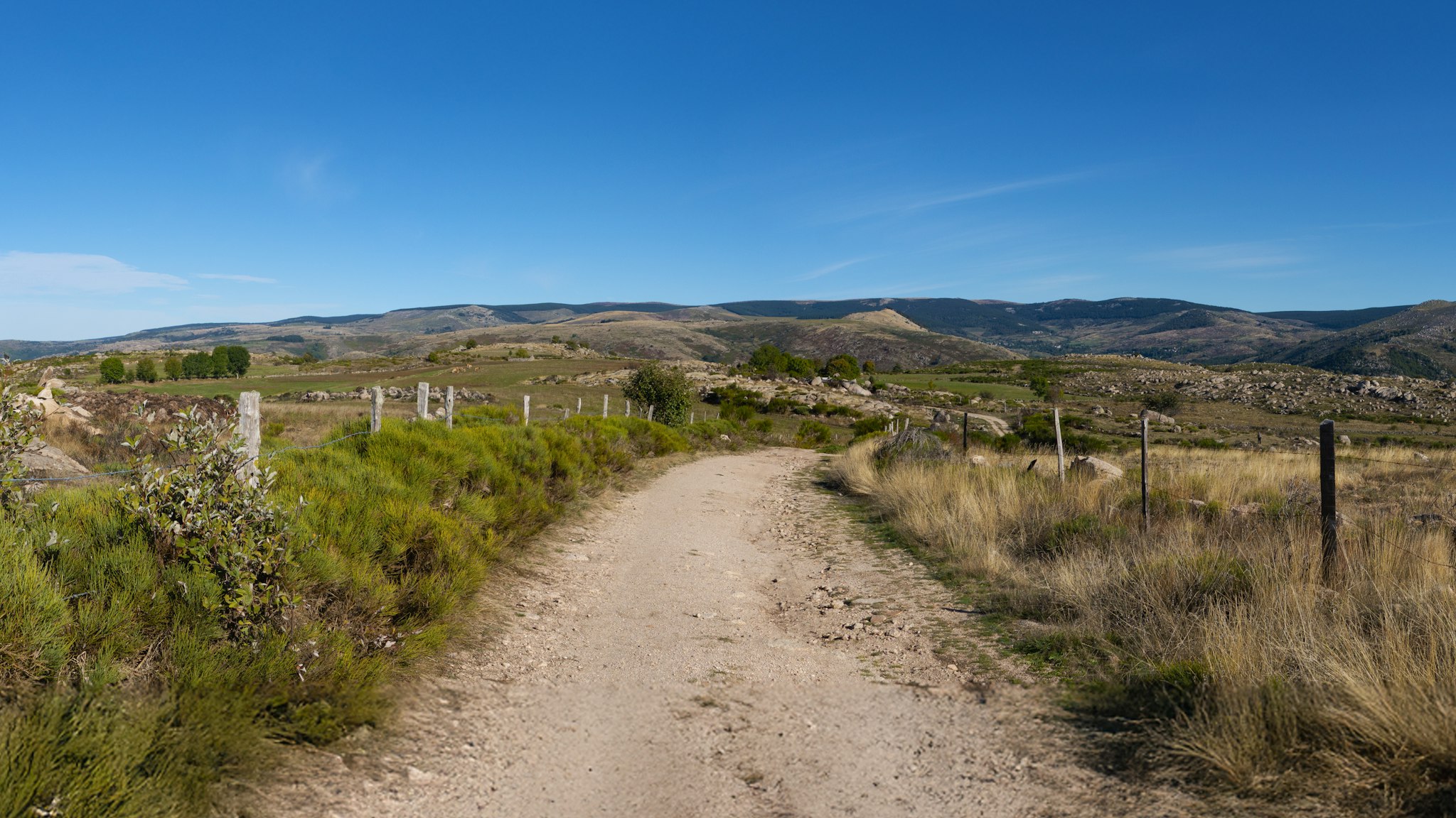 A dirt track running through open dry grassland toward low hills with nothing built along it.