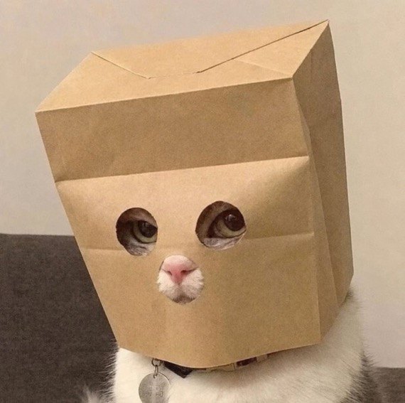 The ZCAT Anonymous Cat mascot, a cat wearing a paper bag with eye holes cut out