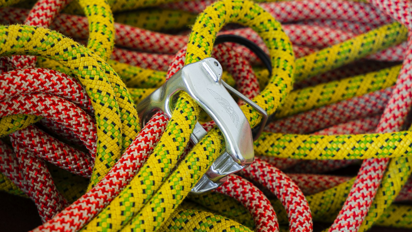 Climbing ropes joined by a carabiner, the shared load that ties a second in command to the outcome instead of to a wage