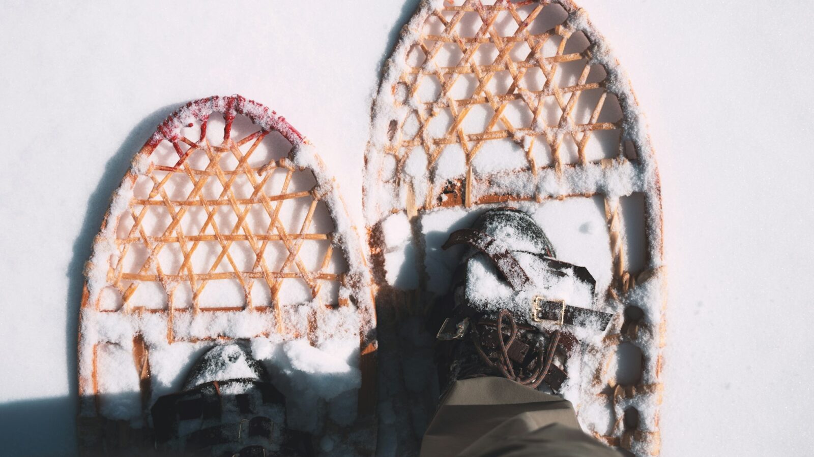 Traditional wooden snowshoes on snow, the local technology Dr. John Rae adopted instead of importing British equipment